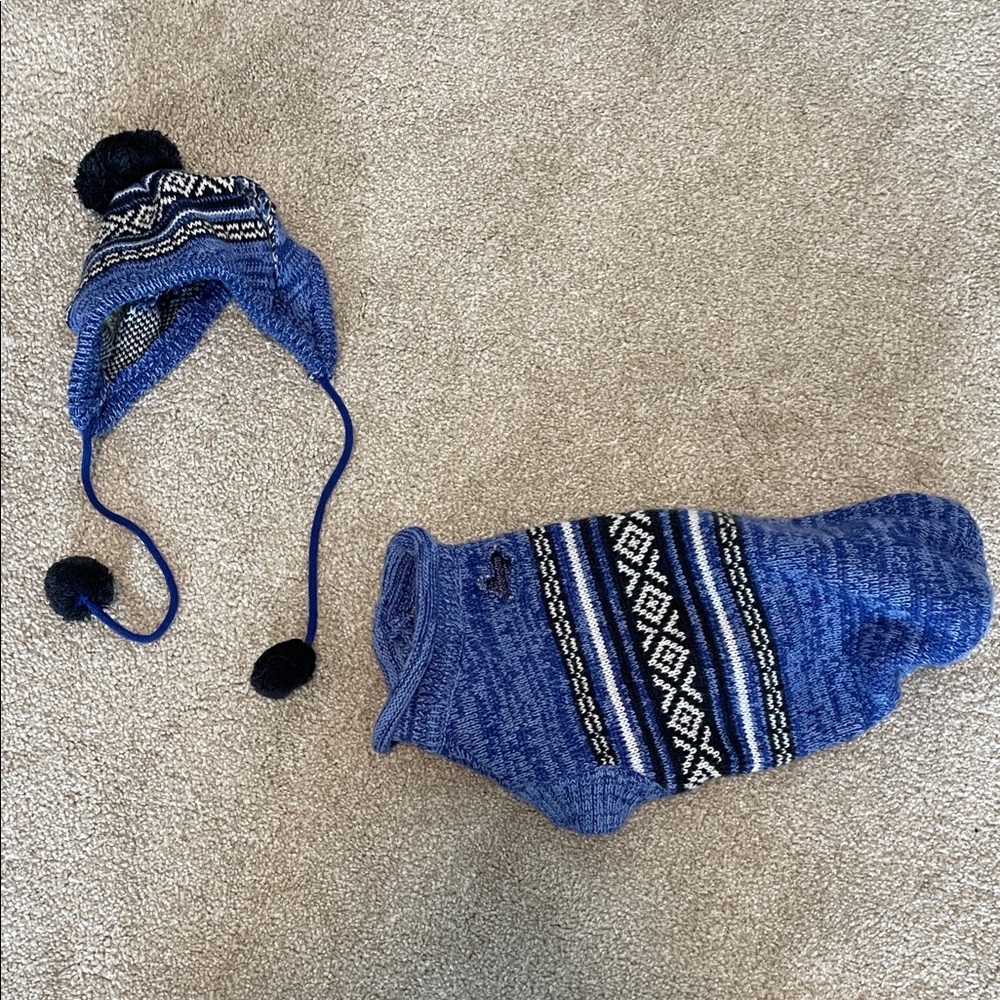 Pet Blue Knit Winter Hat and Sweater Set